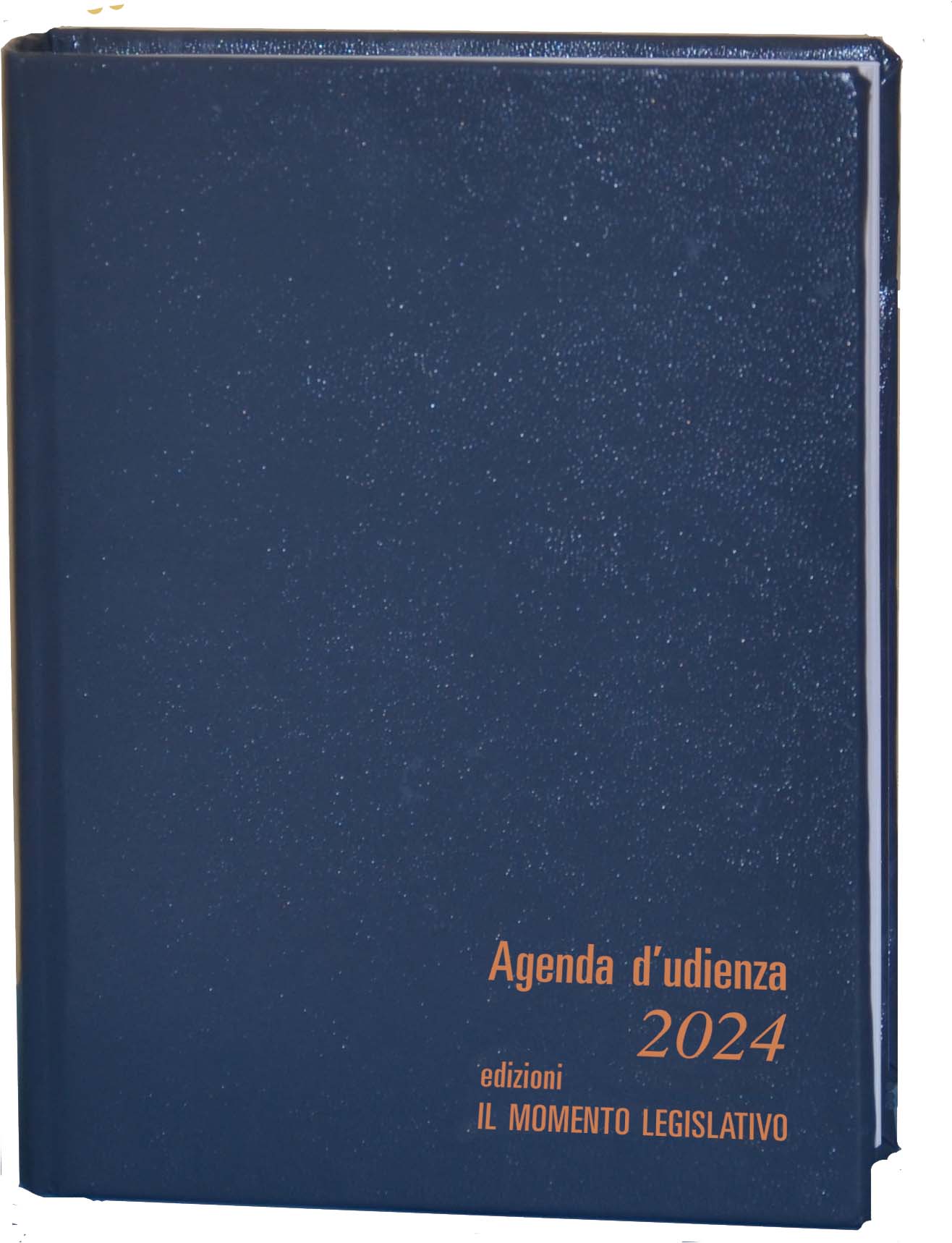 Agenda D'Udienza 2024 – Verticale – Momento Legislativo